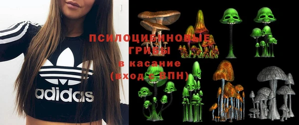 ГАЛЛЮЦИНОГЕННЫЕ ГРИБЫ Зерноград